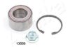  4413005 Wheel Bearing Kit